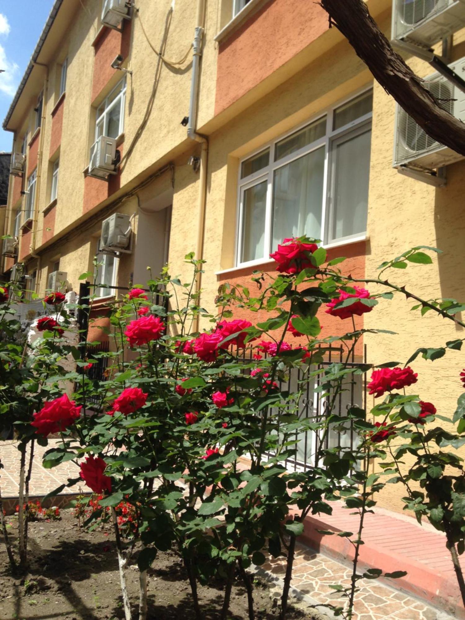 Sultanahmet Deluxe Yilmaz Apart Istanbul Exterior foto